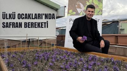 Ülkü Ocakları’ndan Şehir Ortasında Örnek Tarım Hamlesi: “Safran Bereketi” Terasta Yeşerdi