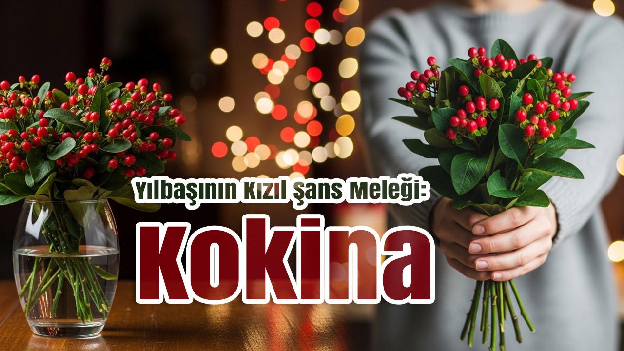 Yılbaşının Kızıl Şans Meleği: Kokina Nedir? Efsanesi Gerçek mi?