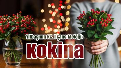 Yılbaşının Kızıl Şans Meleği: Kokina Nedir? Efsanesi Gerçek mi?