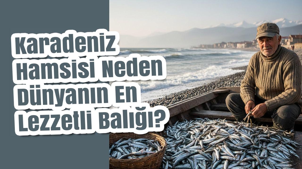 Karadeniz Hamsisi