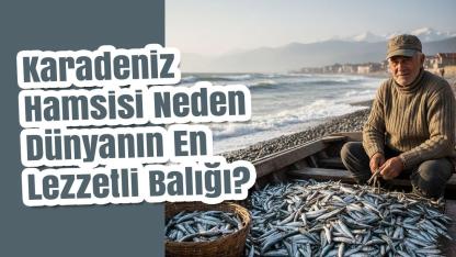 Karadeniz Hamsisi Neden Dünyanın En Lezzetli Balığı? İşte O 3 Gizemli Neden!