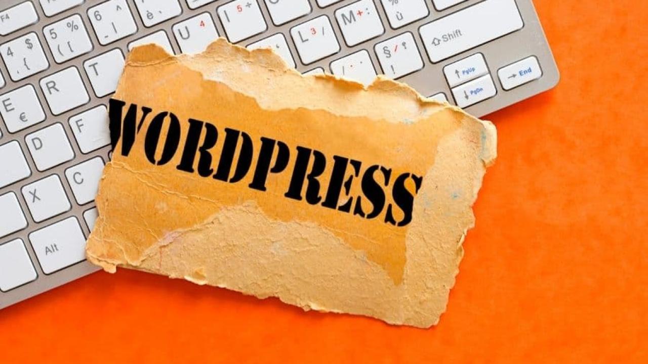 WordPress ile Dijital Başarıya Giden Yol