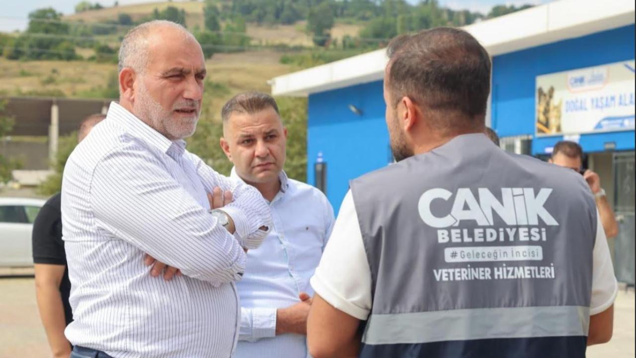 Canik Belediyesi Doğal Yaşam Alanında Sokak Hayvanlarına Yönelik Çalışmalarını Sürdürüyor
