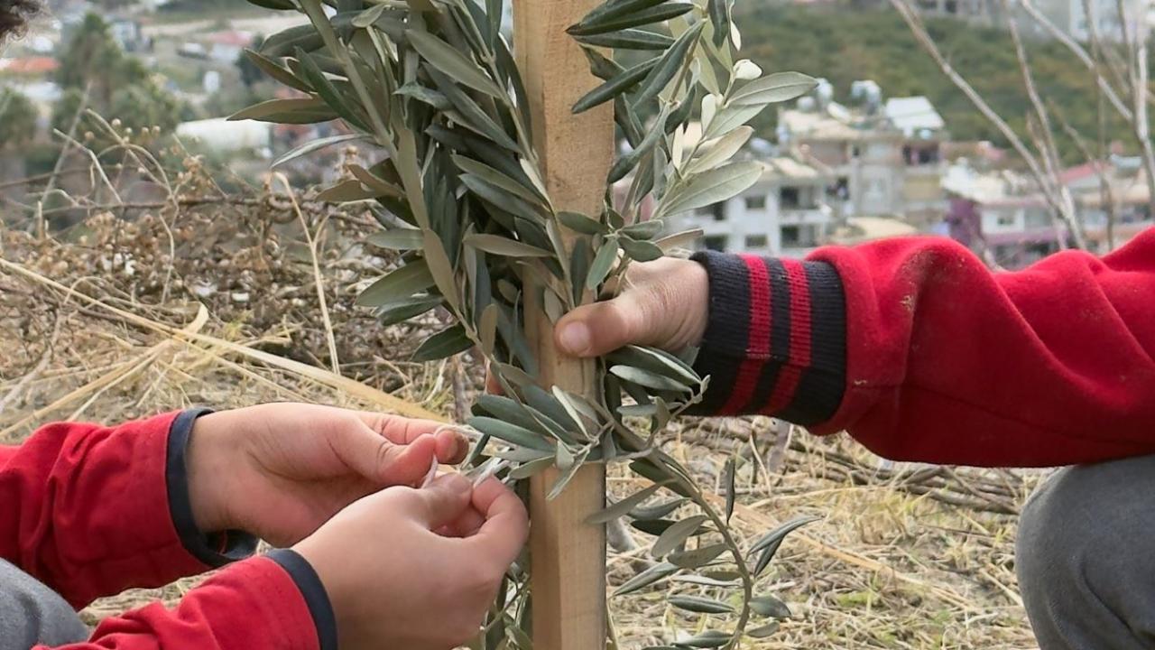 Kervan’dan Anlamlı Proje: Okul Bahçeleri Zeytinle Buluşuyor