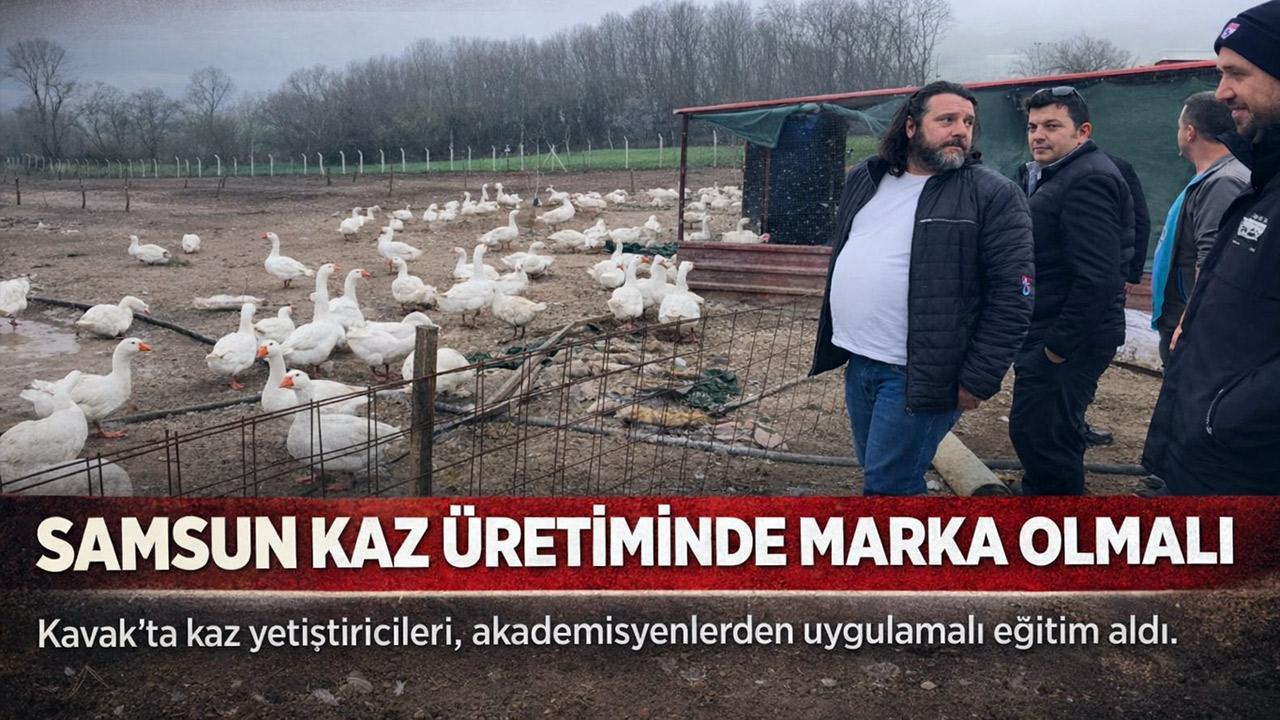 Kavak’ta Kaz Yetiştiriciliği İçin Kritik Buluşma: Akademisyen Sahaya İndi
