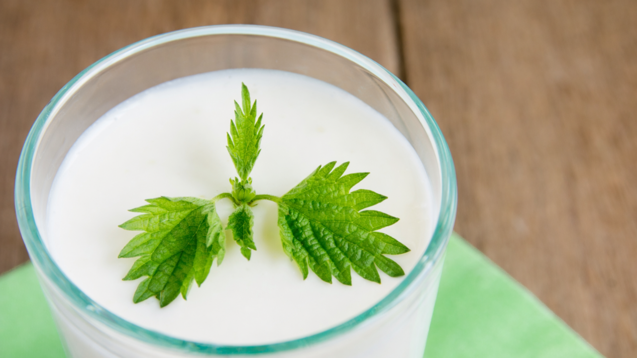 Uzmanlara Göre Ramazan’da Süt ve Ayran Susuzluğu Azaltıyor