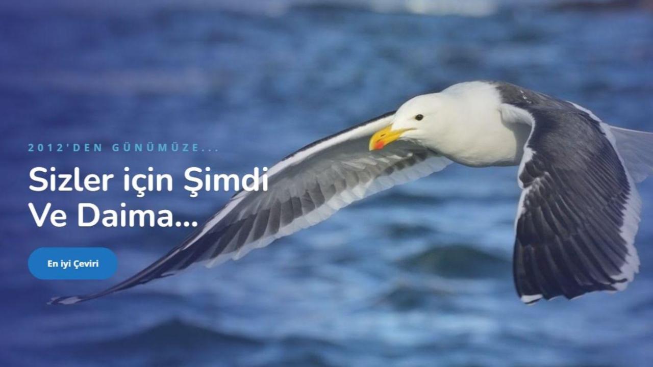 Eski Yunan Alfabesi - Okeanos Tercüme Bürosu