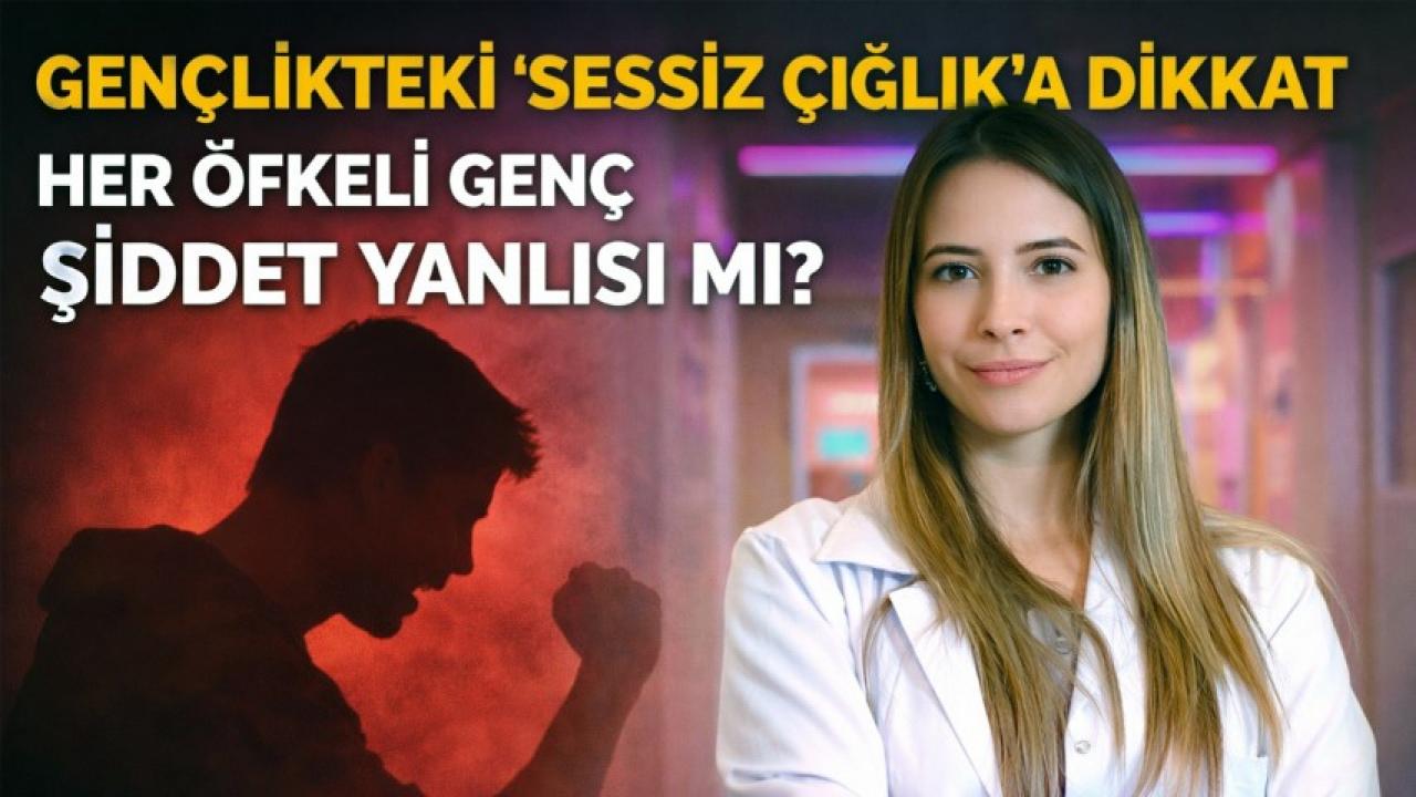 Her Öfkeli Genç Şiddet Yanlısı mı?