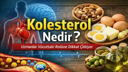 Kolesterol Nedir? Uzmanlar Vücuttaki Rolüne Dikkat Çekiyor