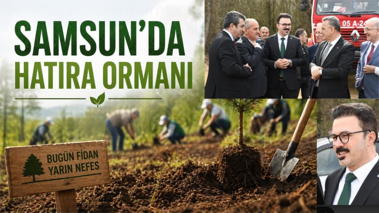 Samsun Mali Müşavirler Odası Hatıra Ormanı