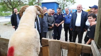 Canik Belediyesi Kurban Pazarı’nda Bayram Hareketliliği Başladı