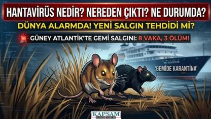 DÜNYA ALARMDA! Öldürücülük Oranı %50’ye Kadar Çıkabiliyor: "Hantavirüs" Nedir, Türkiye Risk Altında mı?