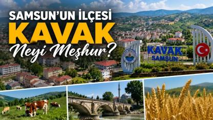 Samsun Kavak Neyi Meşhur? İşte İlçeyi Özel Kılan Değerler