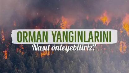 Samsun Valiliği'nden Orman Yangını Uyarısı: "Bir İzmarit Binlerce Hektarı Yok Edebilir"