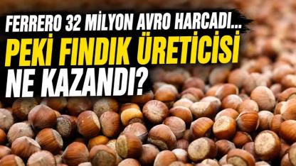 Ferrero 32 Milyon Avro Harcadı... Peki Fındık Üreticisinin Geliri Arttı mı?